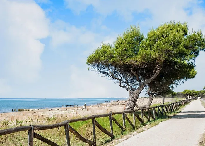 Terraced House With Garden *